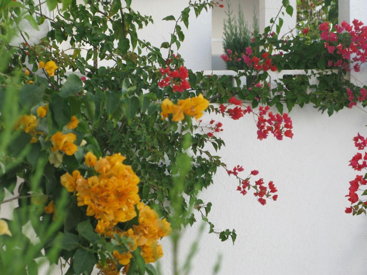 Apartment 1st Line To The & Sunshine In Mar De Pulpi San Juan De Los Terreros